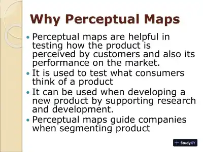 PERCEPTUAL MAPS: Role Of Perception Maps - MKT 421 - Page 4 preview image