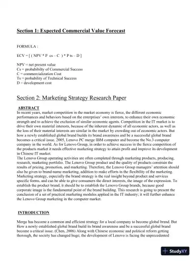 Developing a Marketing Strategy for a Multinational Company - Page 3 preview image