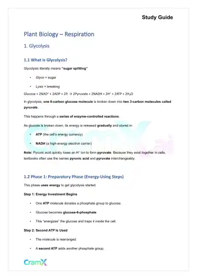 Plant Biology - Respiration - Page 1 preview image