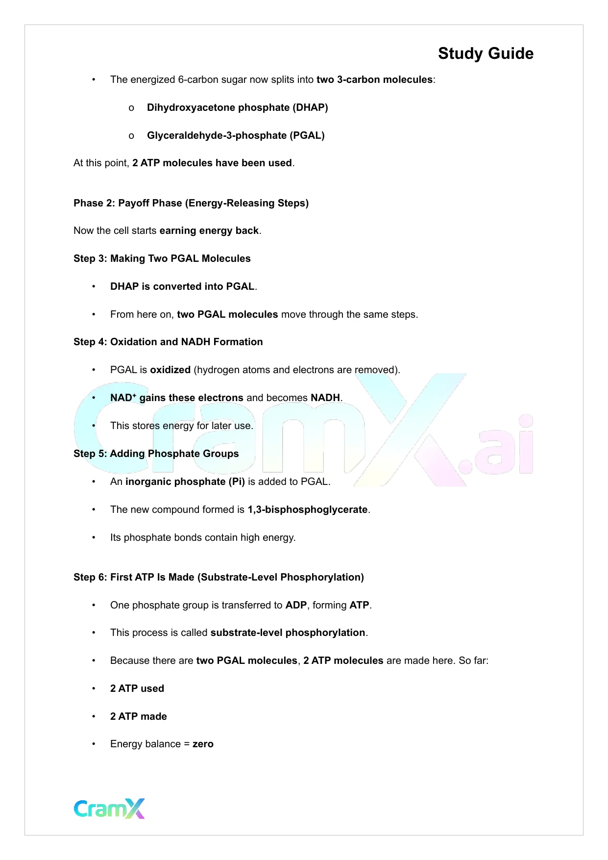 Plant Biology - Respiration - Page 2 preview image