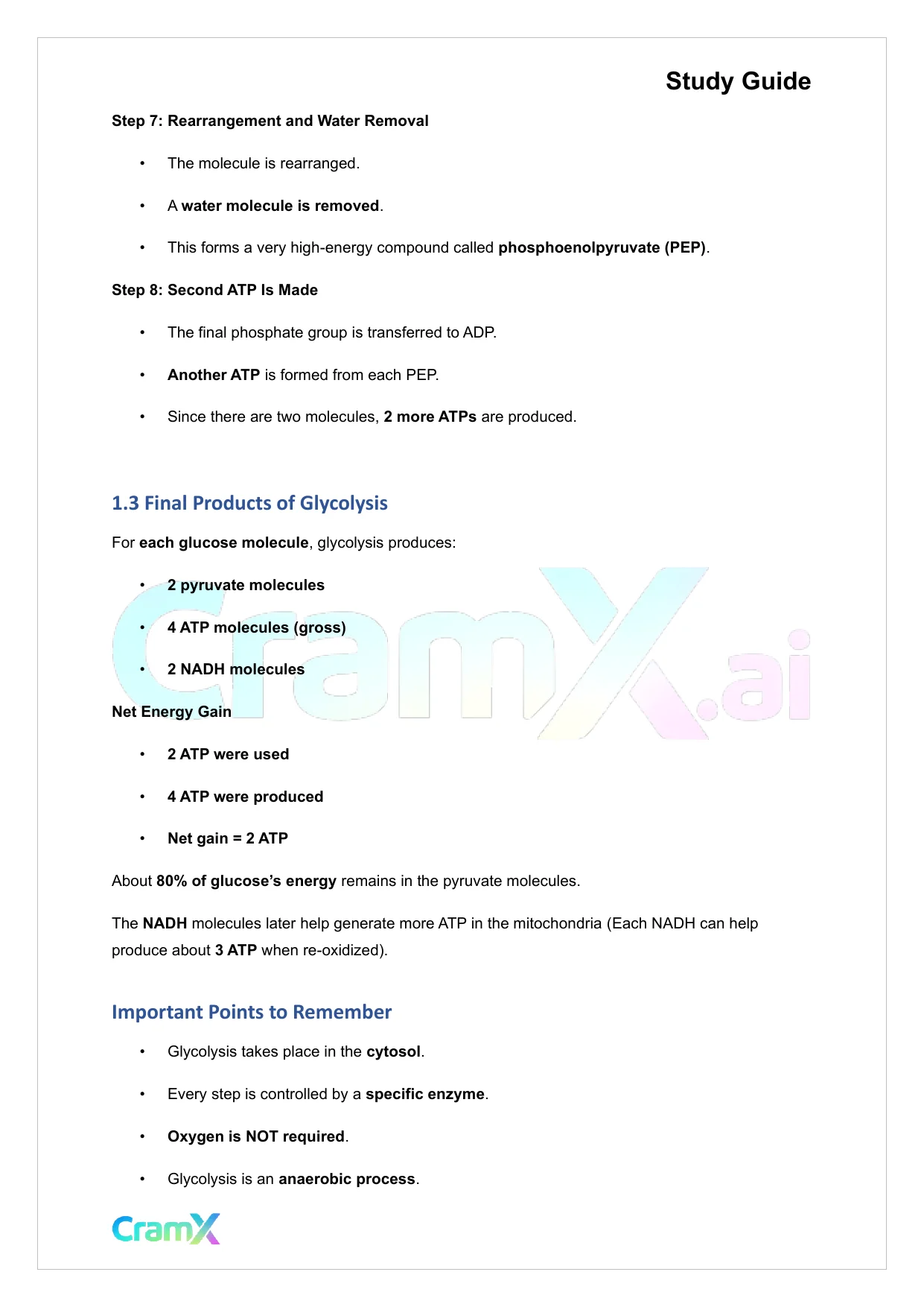 Plant Biology - Respiration - Page 3 preview image