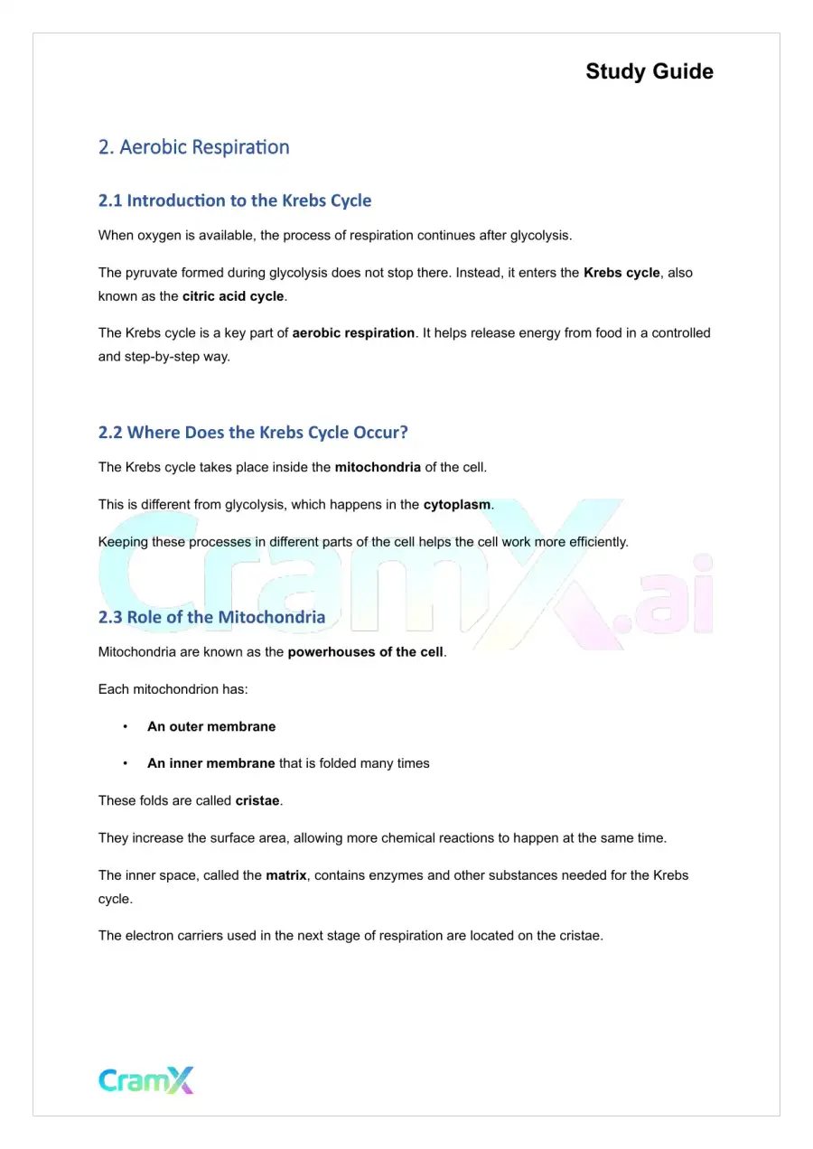 Plant Biology - Respiration, page 4