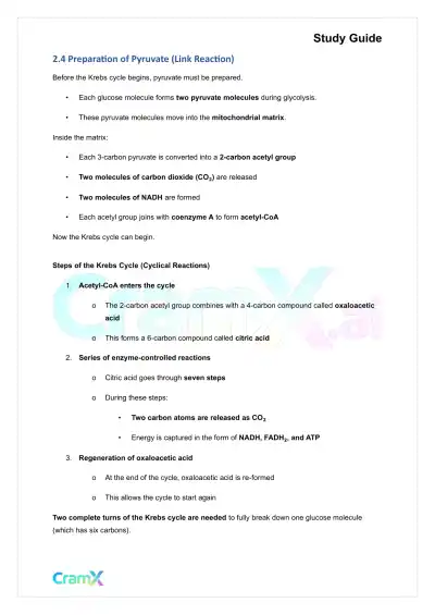 Plant Biology - Respiration - Page 5 preview image