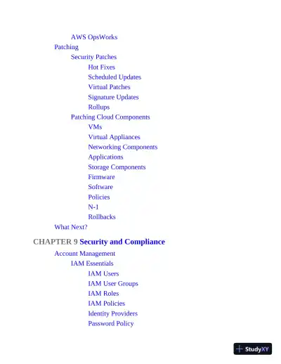 AWS Certified SysOps Administrator - Associate SOA-C02 Exam Cram (2022) - Page 17 preview image