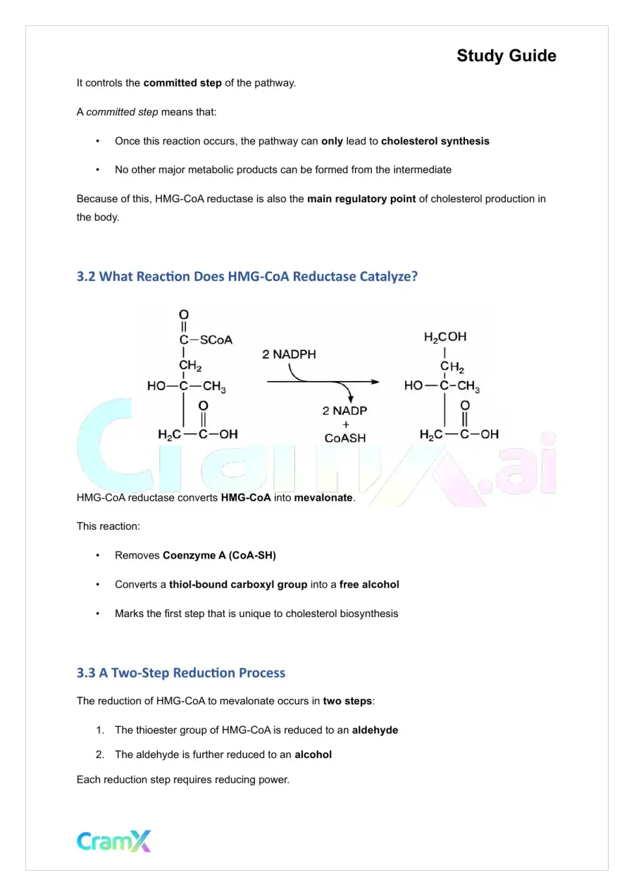 Biochemistry-II - Lipid Biosynthesis, page 6