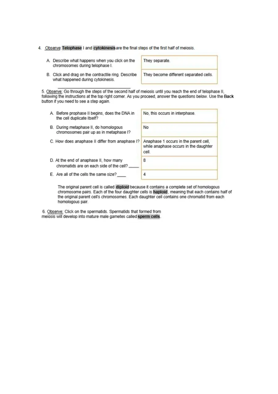 Understanding Meiosis A Step-by-Step Guide to Cell, page 2