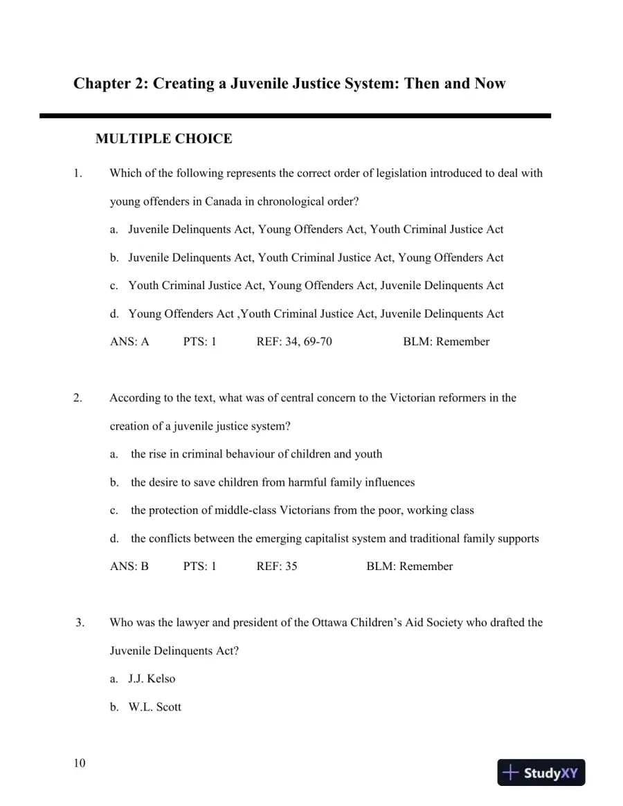 Test Bank for Young Offenders and Youth Justice: A Century After the Fact, 5th Edition, page 11