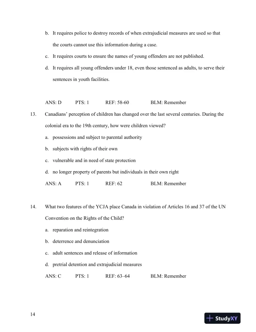 Test Bank for Young Offenders and Youth Justice: A Century After the Fact, 5th Edition, page 15