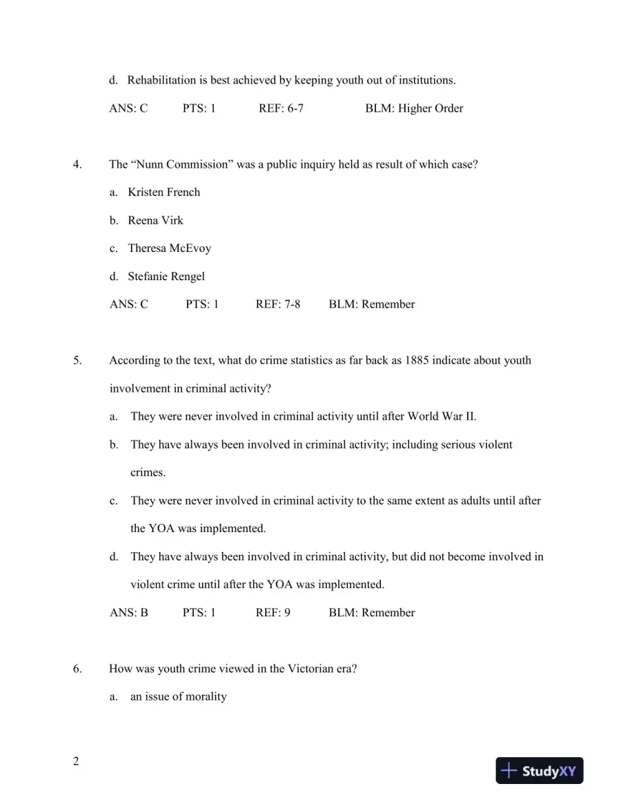 Test Bank for Young Offenders and Youth Justice: A Century After the Fact, 5th Edition, page 3