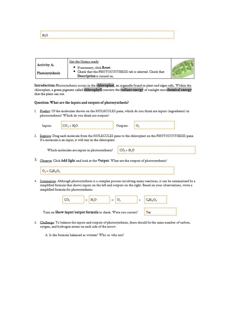Cell Energy Gizmo Student Investigation, page 2