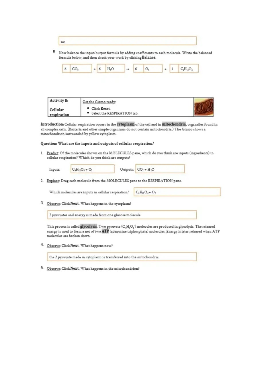 Cell Energy Gizmo Student Investigation, page 3