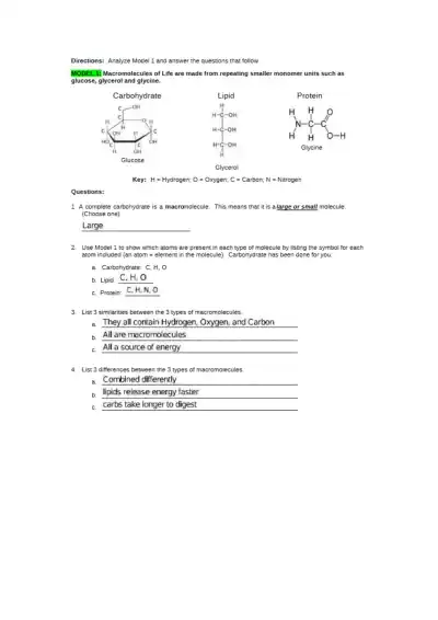 Macromolecules Building Blocks of Life for Elephan - Page 2 preview image
