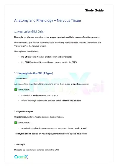 Anatomy and Physiology - Nervous Tissue - Page 1 preview image