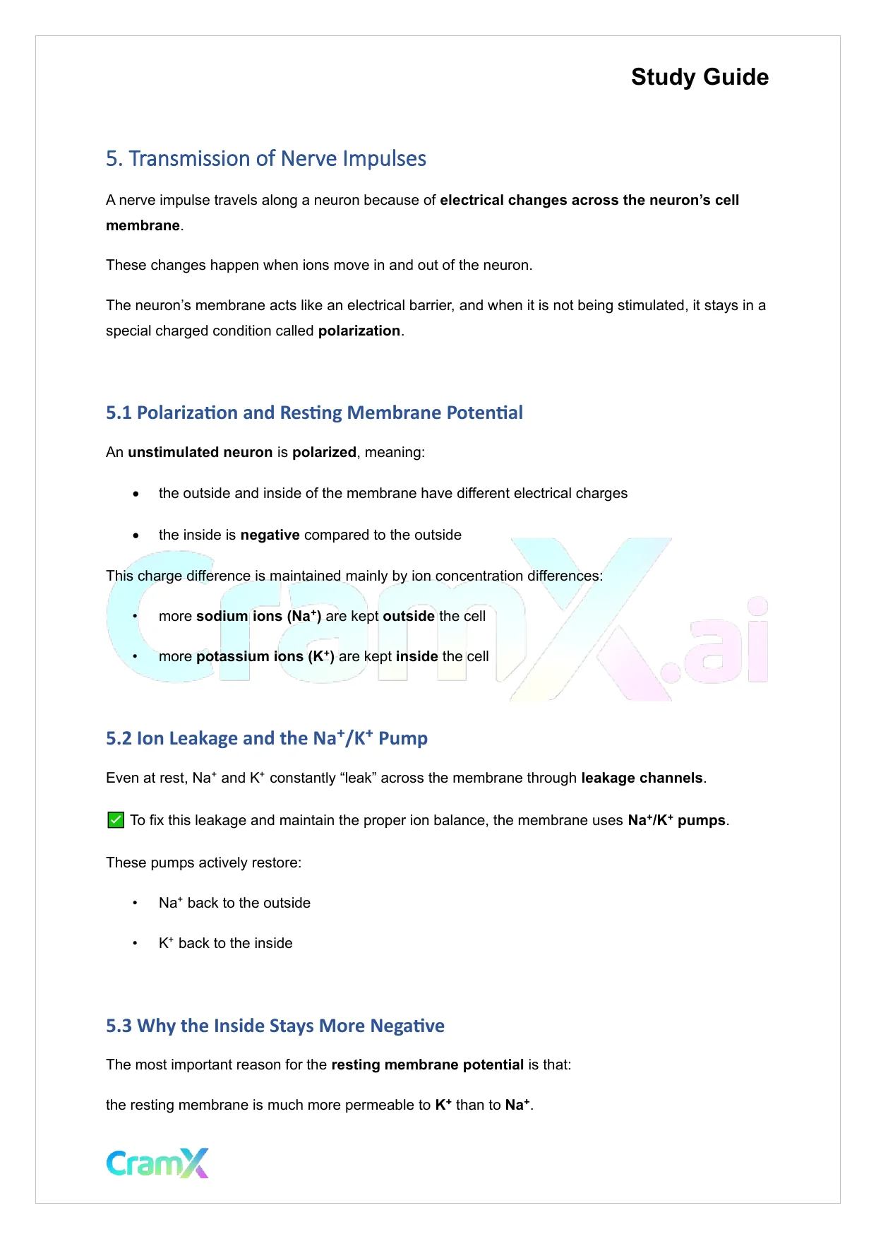 Anatomy and Physiology - Nervous Tissue - Page 10 preview image
