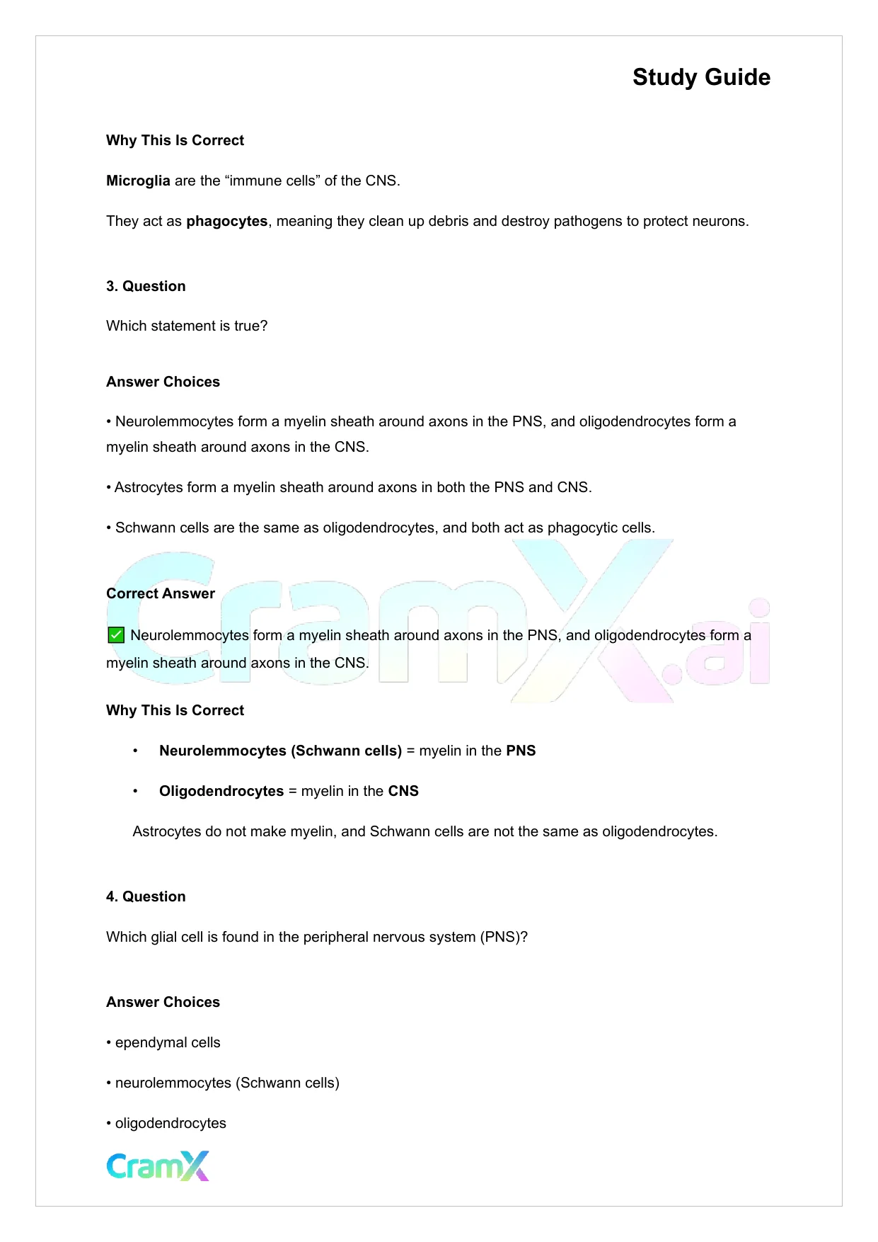 Anatomy and Physiology - Nervous Tissue - Page 4 preview image