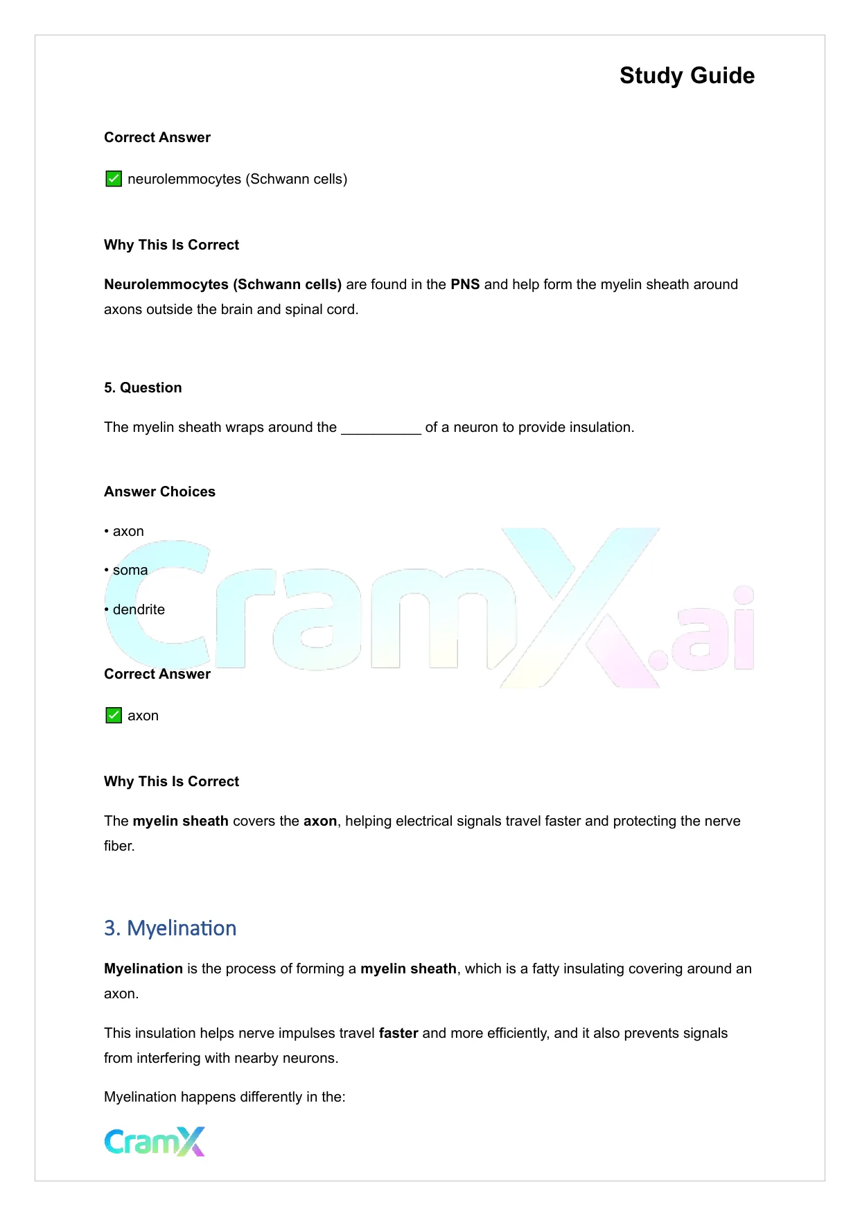 Anatomy and Physiology - Nervous Tissue - Page 5 preview image