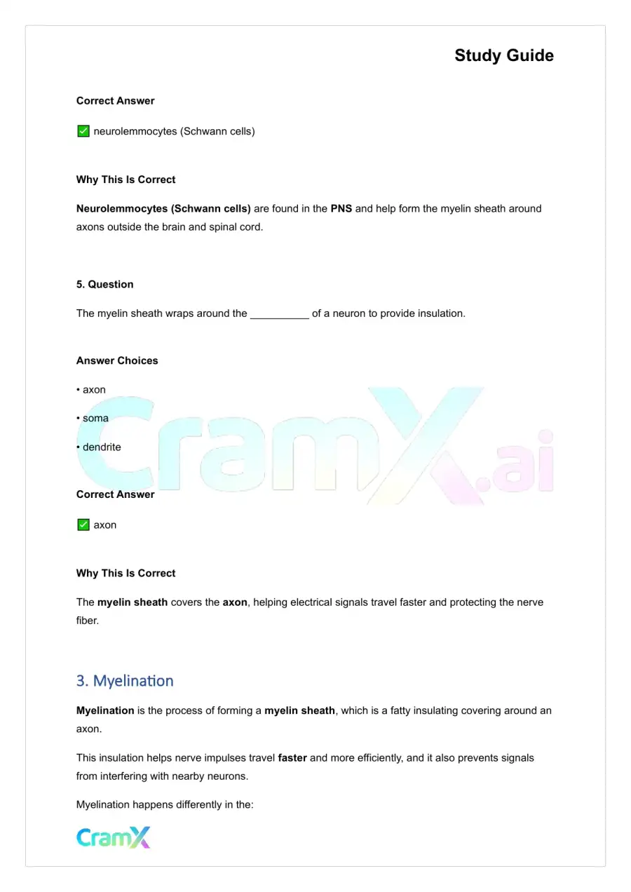 Anatomy and Physiology - Nervous Tissue, page 5