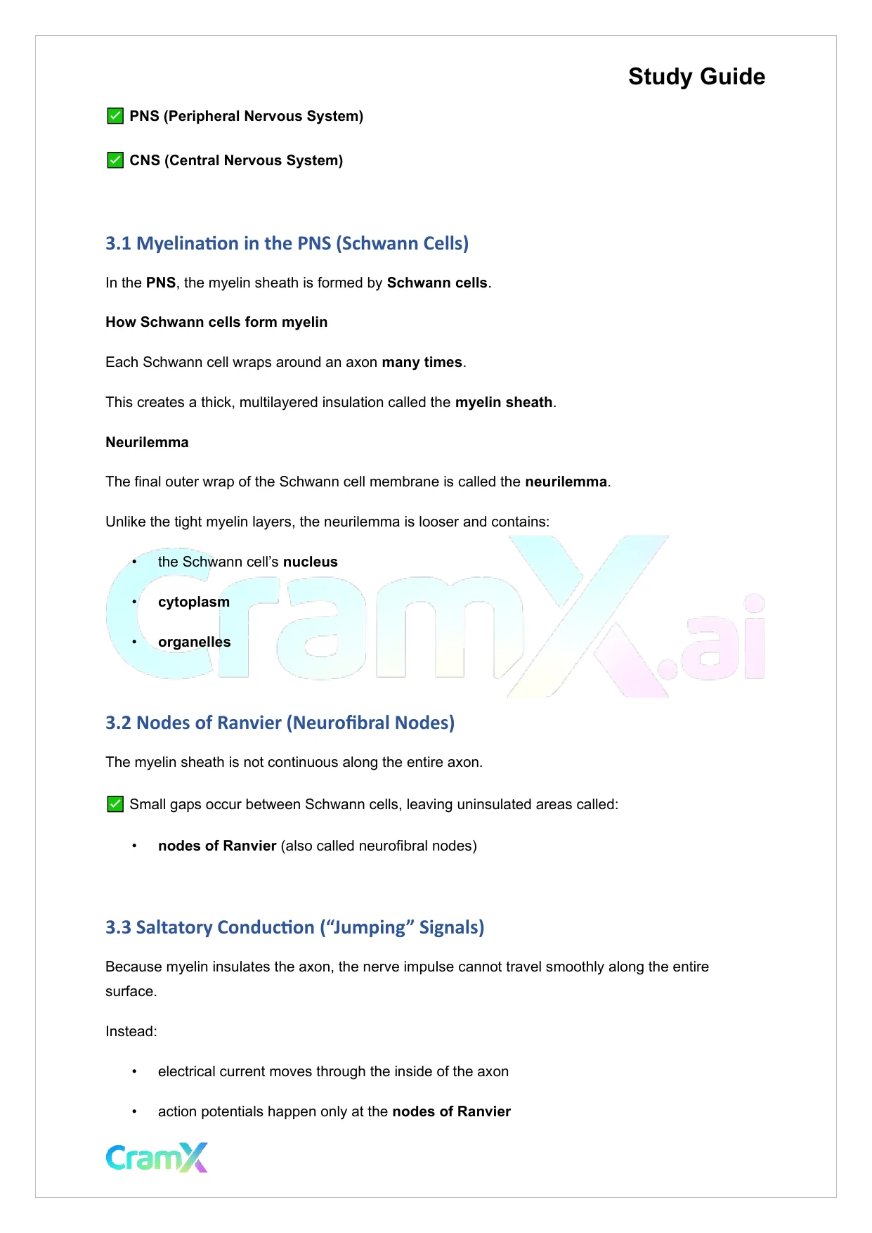 Anatomy and Physiology - Nervous Tissue - Page 6 preview image