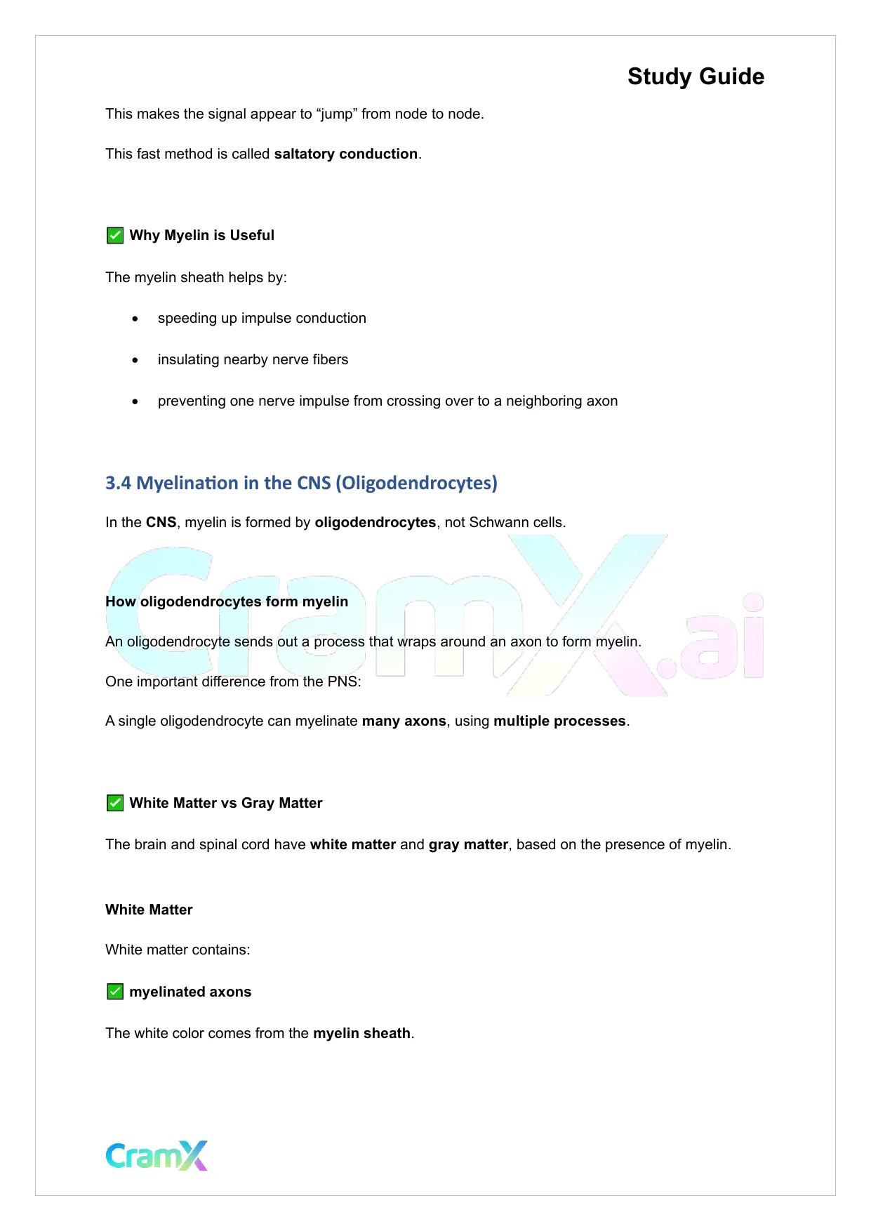 Anatomy and Physiology - Nervous Tissue - Page 7 preview image