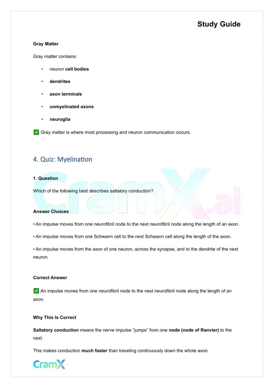 Anatomy and Physiology - Nervous Tissue, page 8