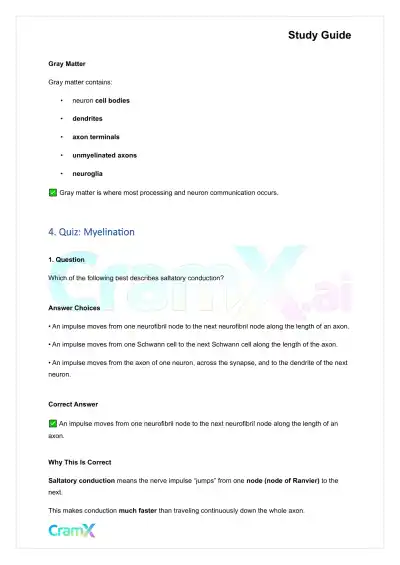 Anatomy and Physiology - Nervous Tissue - Page 8 preview image