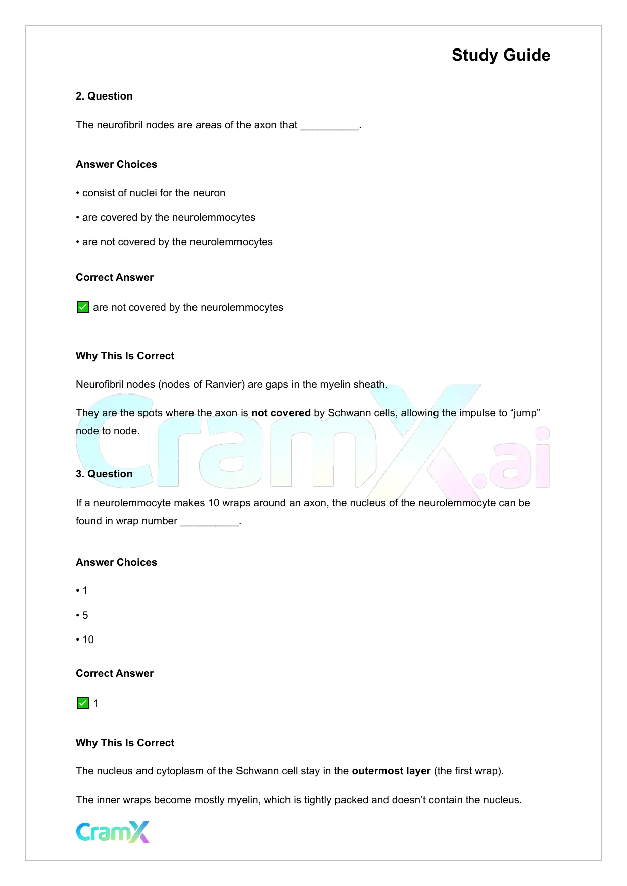 Anatomy and Physiology - Nervous Tissue - Page 9 preview image