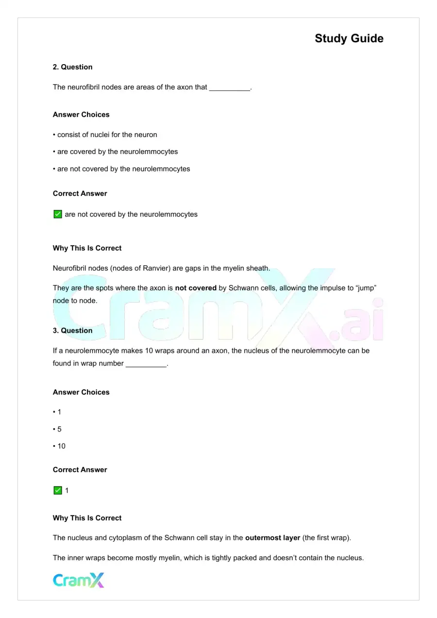 Anatomy and Physiology - Nervous Tissue, page 9