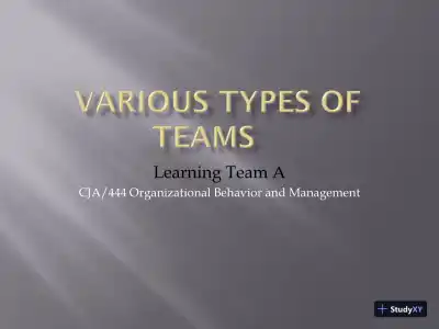 Various Types Of Teams Learning Team ACJA/444 Organizational Behavior And Management - Page 1 preview image