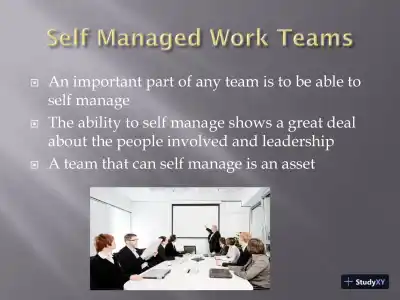 Various Types Of Teams Learning Team ACJA/444 Organizational Behavior And Management - Page 11 preview image
