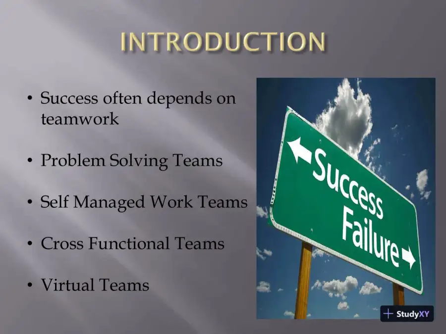Various Types Of Teams Learning Team ACJA/444 Organizational Behavior And Management, page 3