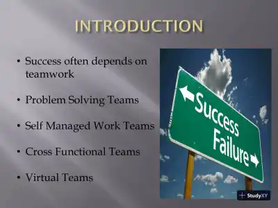 Various Types Of Teams Learning Team ACJA/444 Organizational Behavior And Management - Page 3 preview image