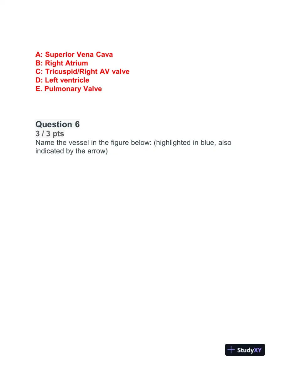 BIOD152 Cardiovascular Module Exam With Answers (32 Solved Questions), page 5