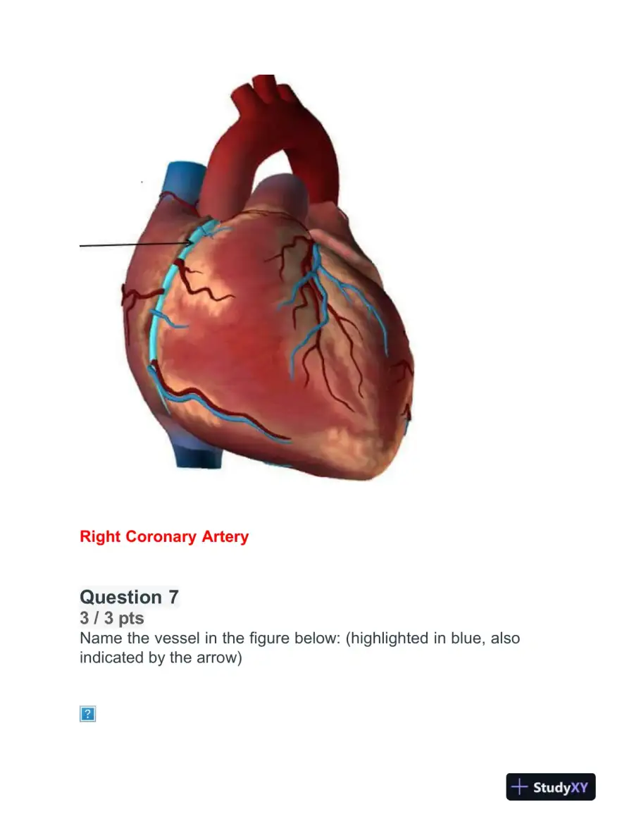 BIOD152 Cardiovascular Module Exam With Answers (32 Solved Questions), page 6