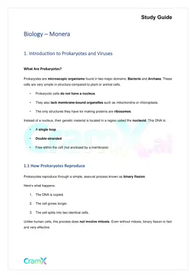 Biology - Monera - Page 1 preview image