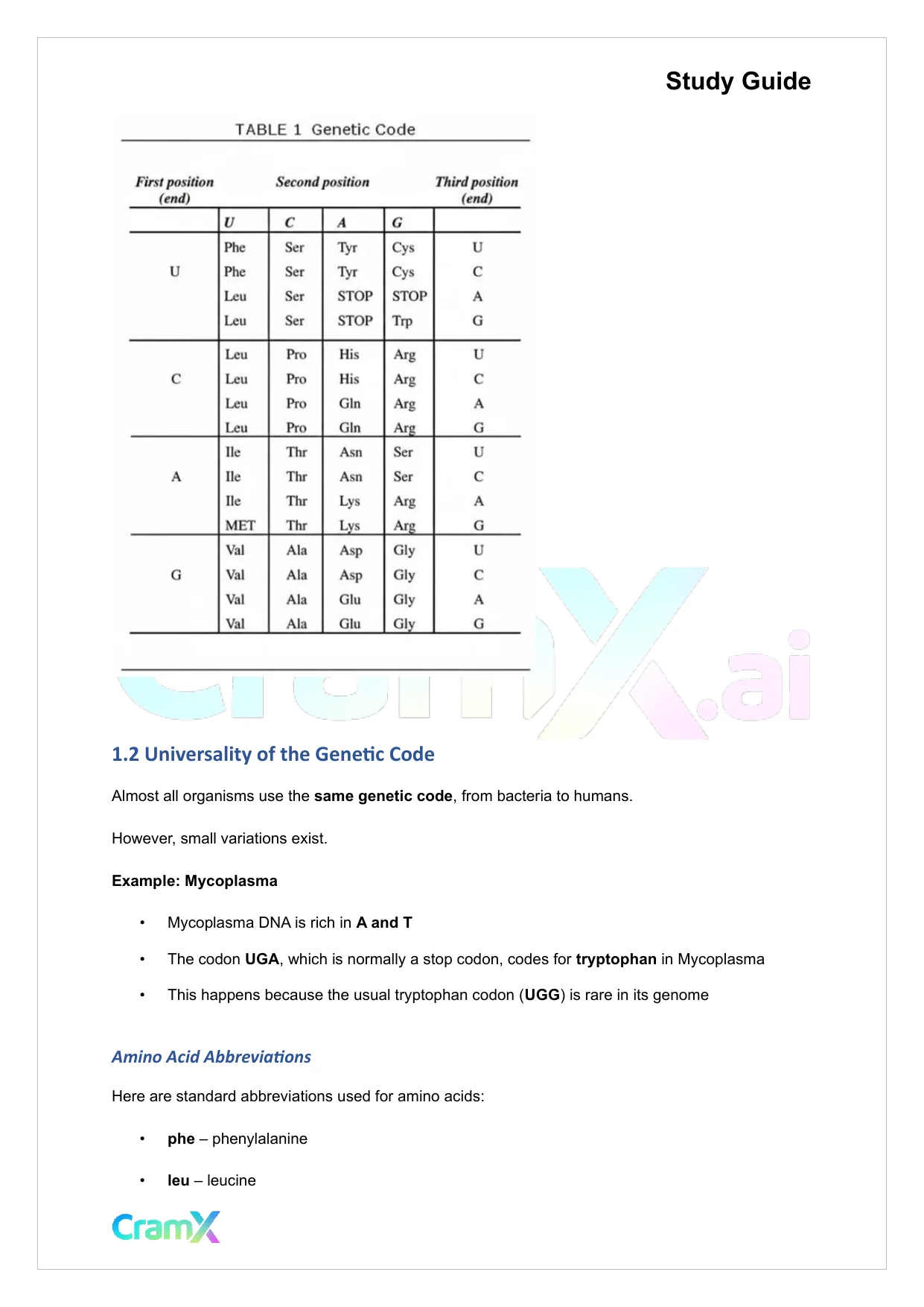 Biochemistry I - Overview of Biological Information Flow - Page 4 preview image