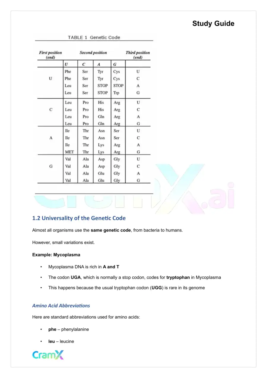 Biochemistry I - Overview of Biological Information Flow, page 4