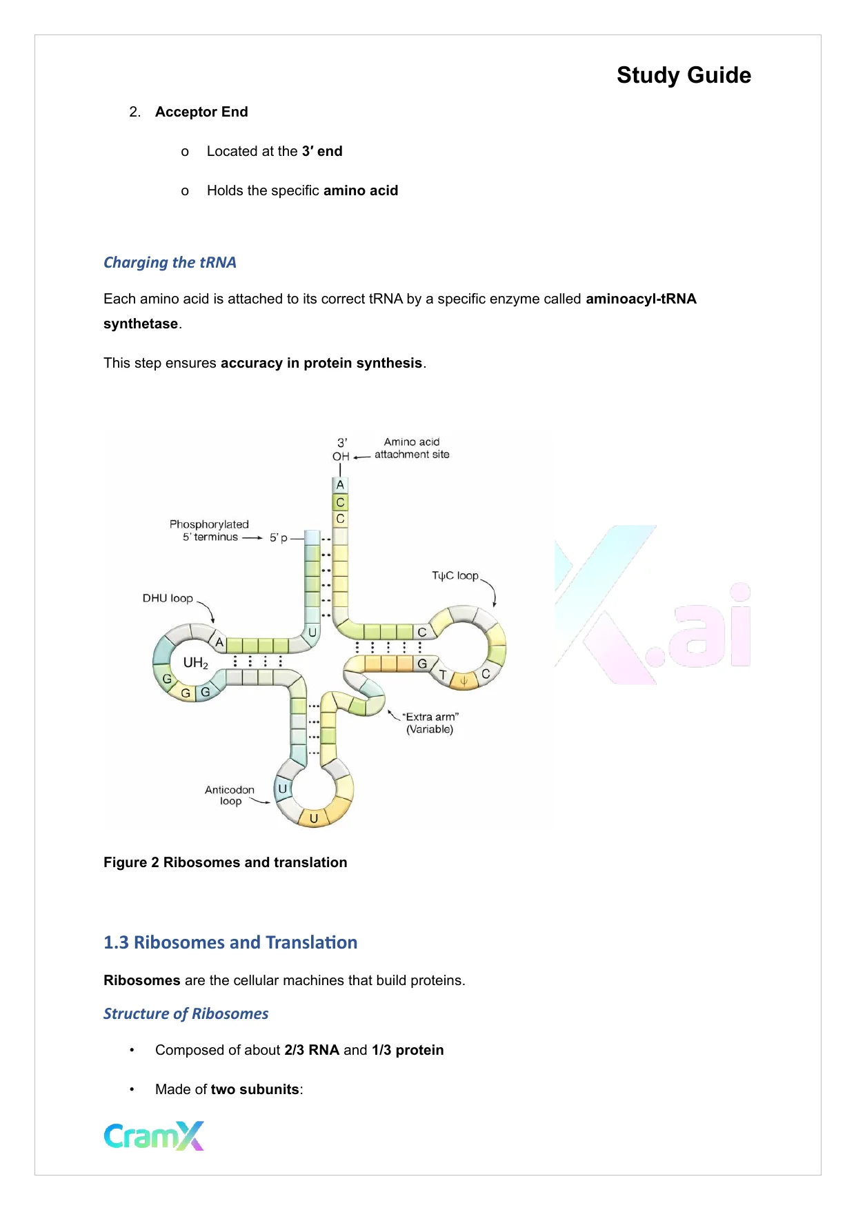 Biochemistry I - Overview of Biological Information Flow - Page 6 preview image