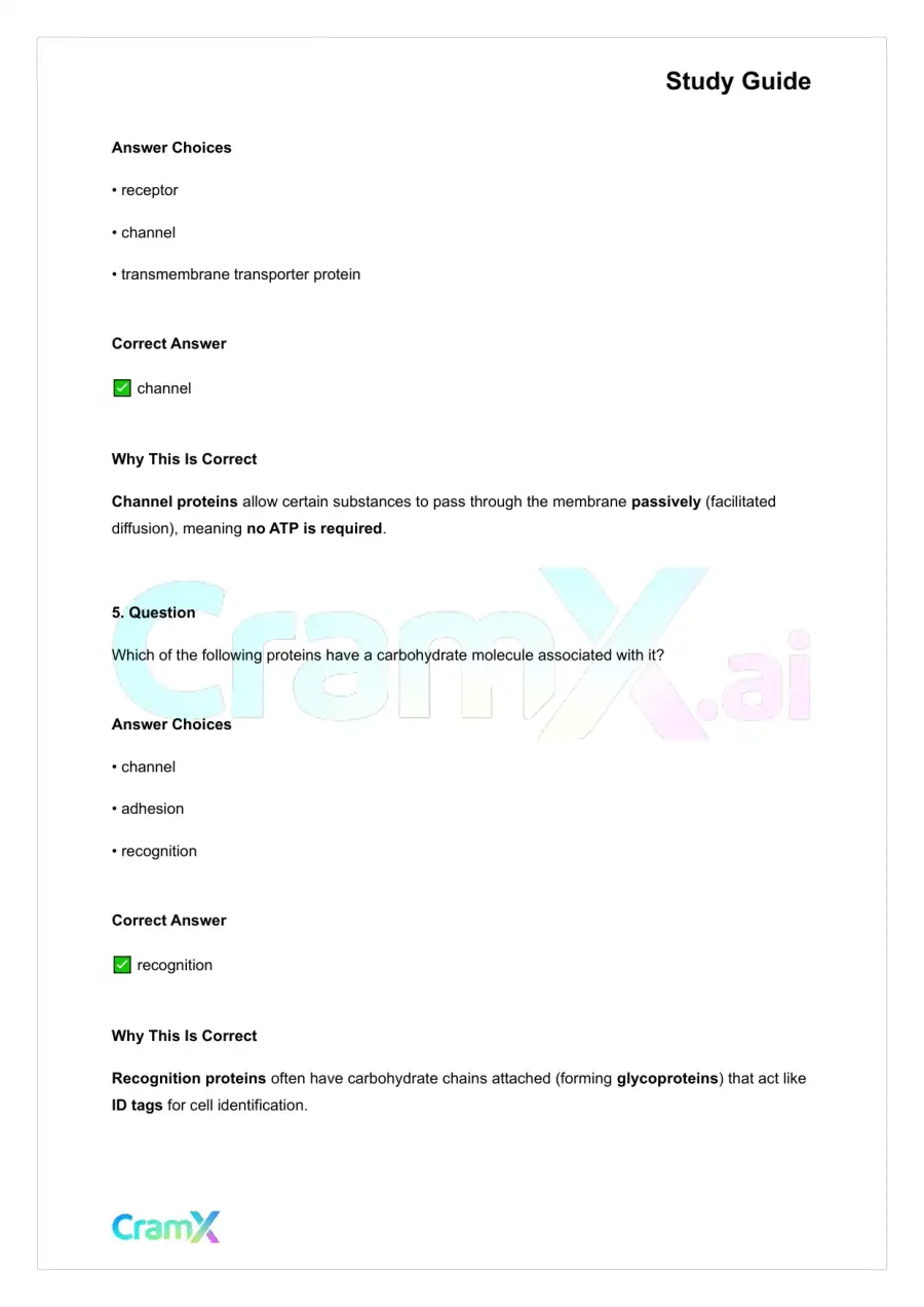 Anatomy and Physiology - The Cell, page 3