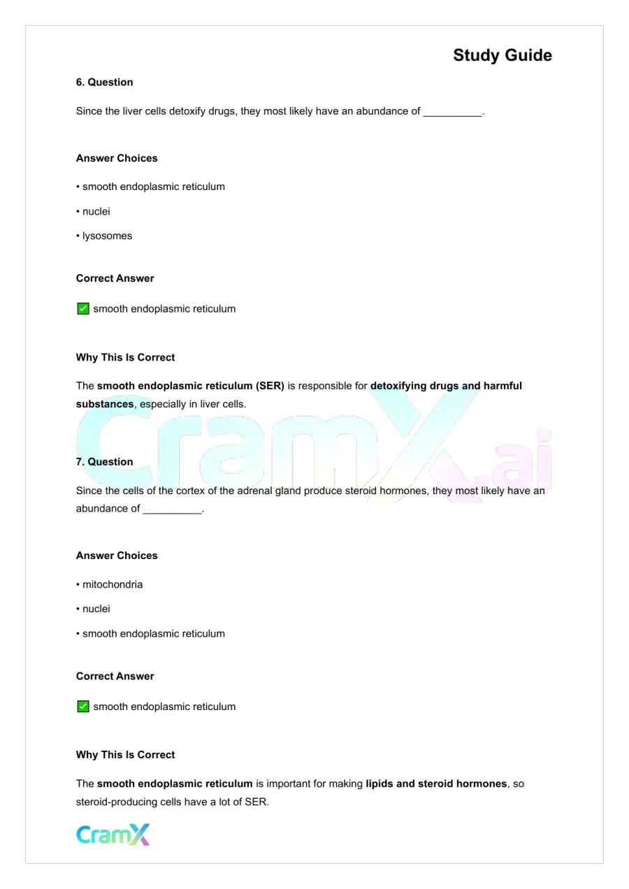 Anatomy and Physiology - The Cell, page 4