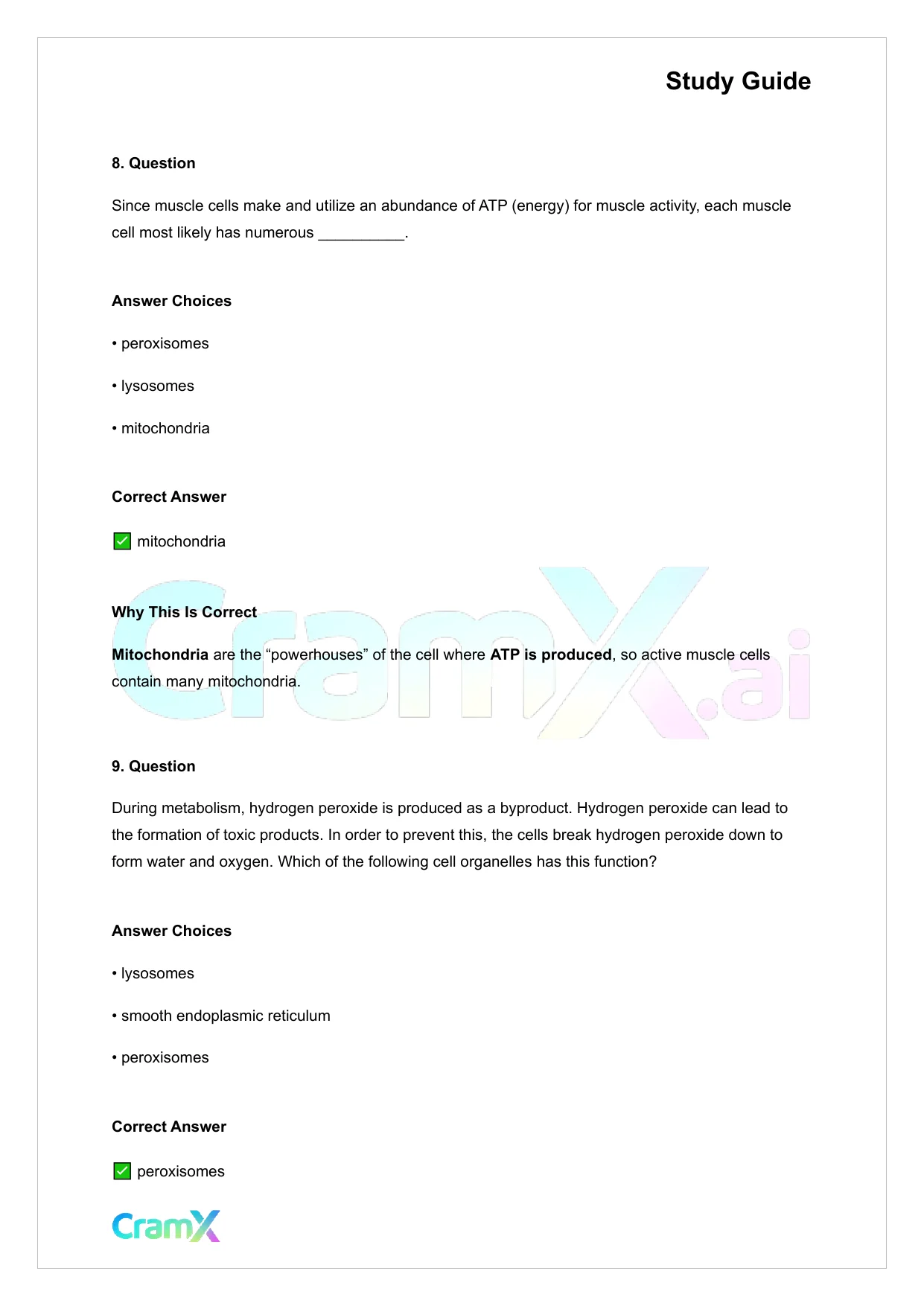 Anatomy and Physiology - The Cell - Page 5 preview image