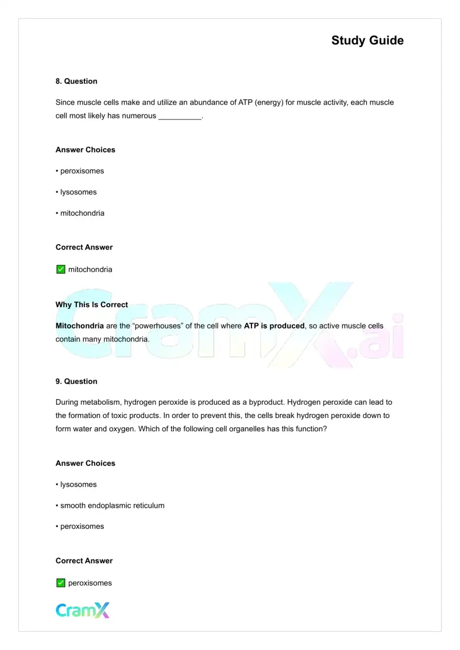 Anatomy and Physiology - The Cell, page 5