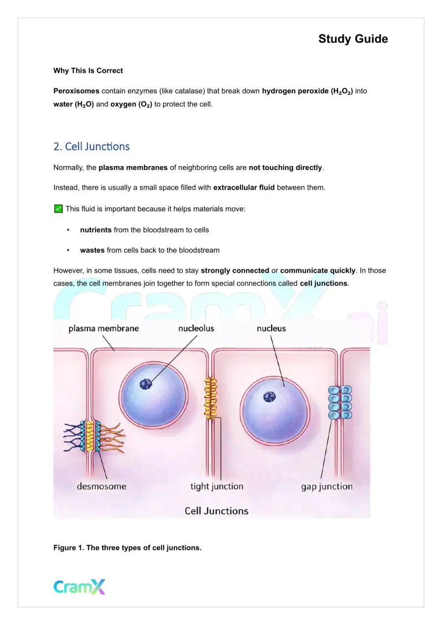 Anatomy and Physiology - The Cell, page 6