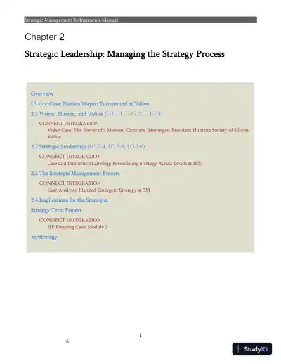 Strategic Management 3rd Edition Solution Manual - Page 16 preview image
