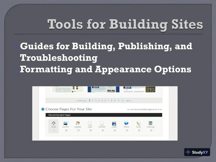 Website Development Presentation - BSHS 352, page 4