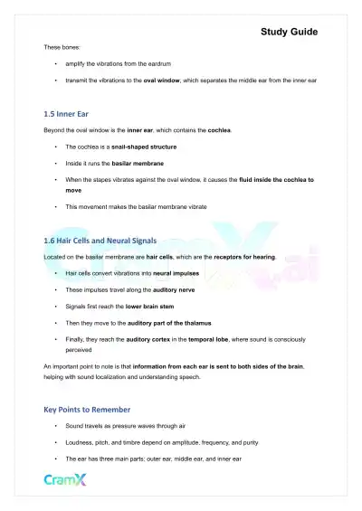 Psychology - Psychology Sensation - Page 3 preview image