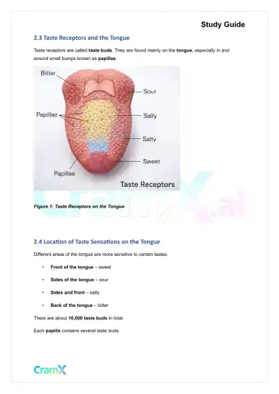 Psychology - Psychology Sensation - Page 5 preview image