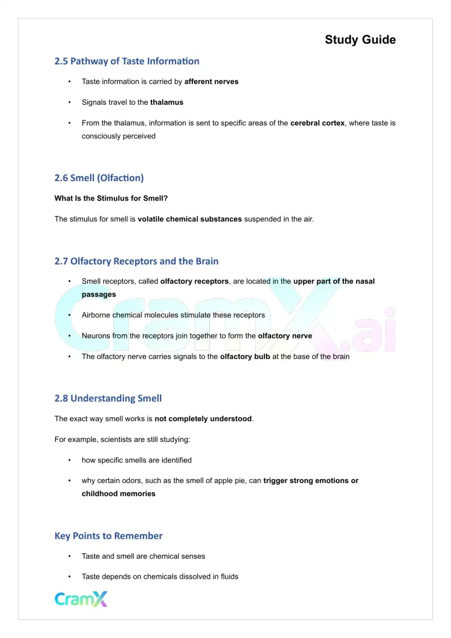 Psychology - Psychology Sensation, page 6