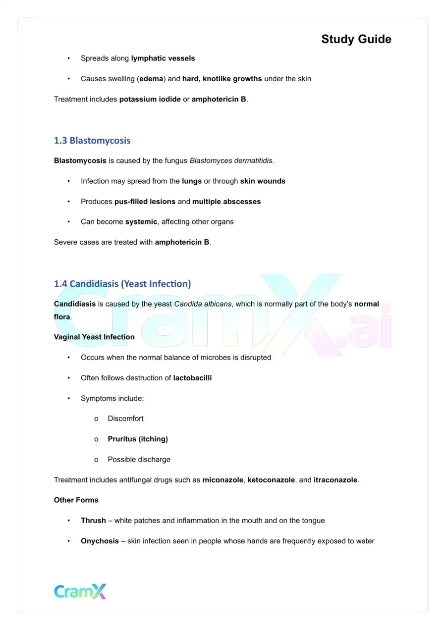 Microbiology - Diseases of the Skin and Eyes, page 2