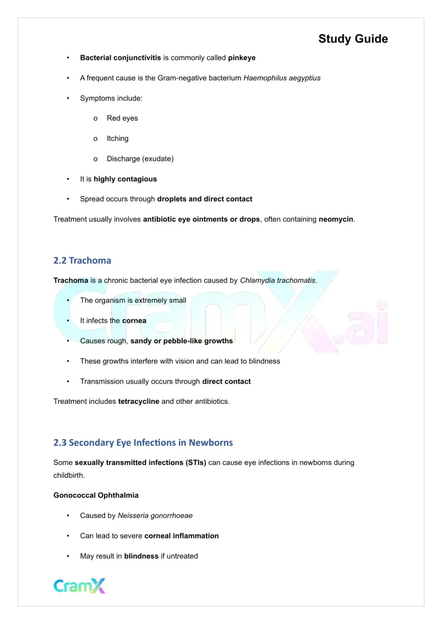 Microbiology - Diseases of the Skin and Eyes, page 4