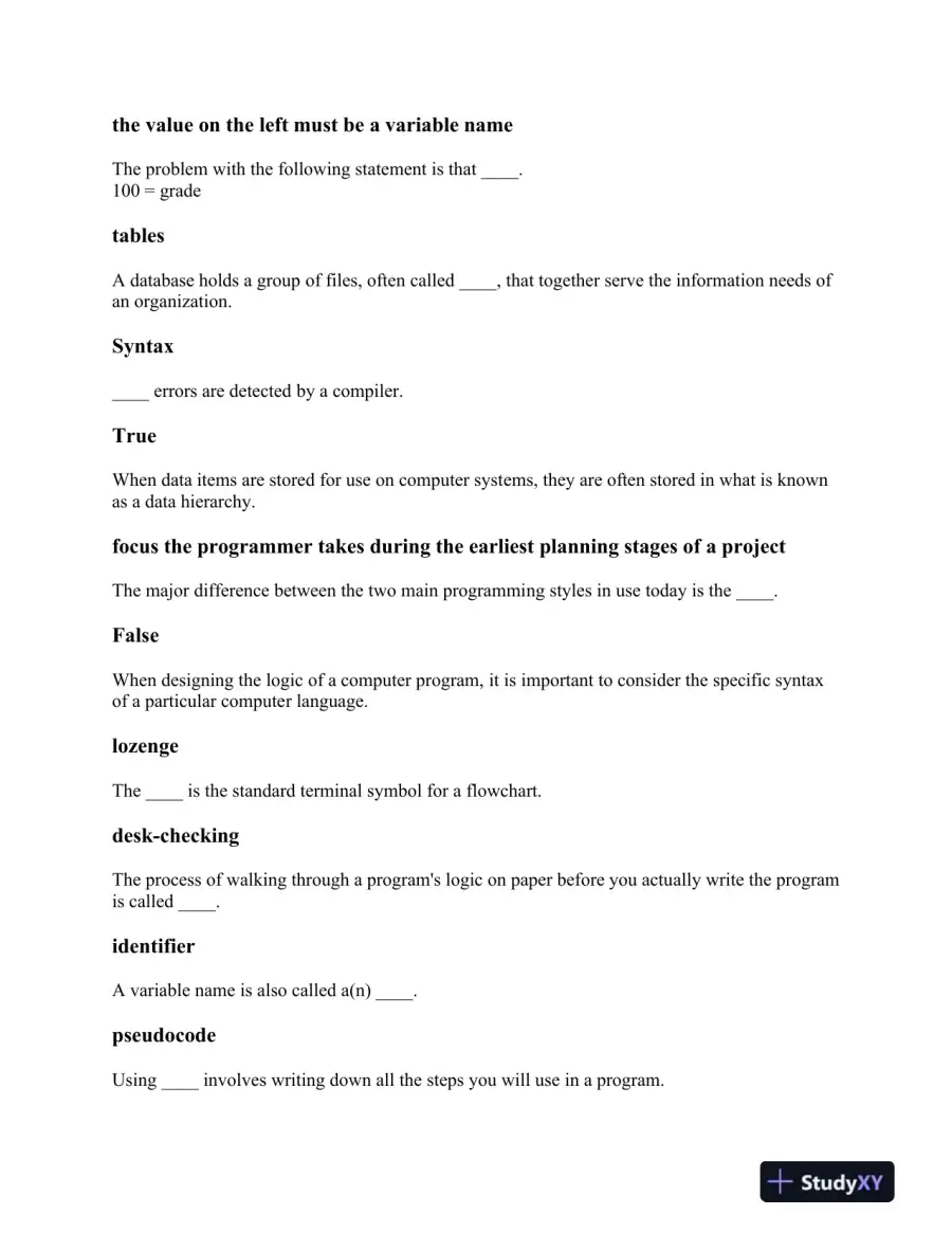 Fundamentals of Programming: Syntax, Logic Structures, and Variable Management, page 3